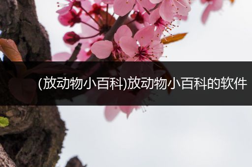 （放动物小百科)放动物小百科的软件