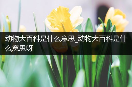 动物大百科是什么意思_动物大百科是什么意思呀