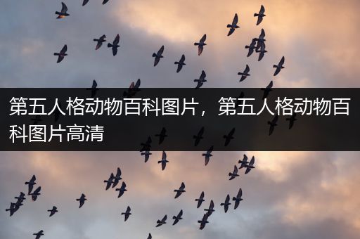 第五人格动物百科图片，第五人格动物百科图片高清