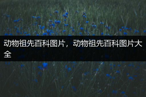 动物祖先百科图片，动物祖先百科图片大全