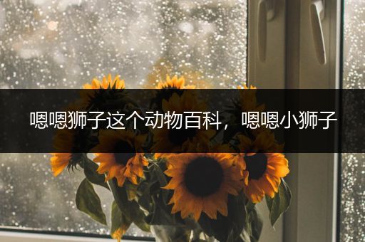 嗯嗯狮子这个动物百科，嗯嗯小狮子