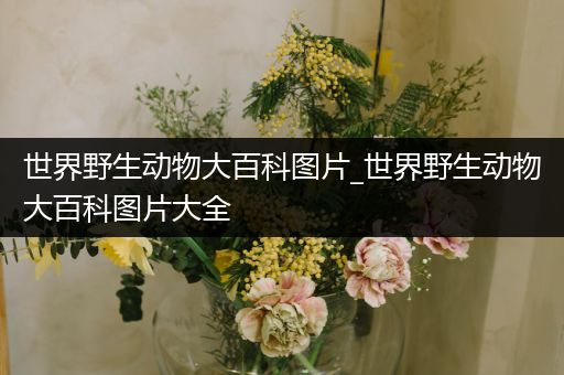 世界野生动物大百科图片_世界野生动物大百科图片大全