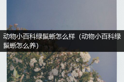 动物小百科绿鬣蜥怎么样（动物小百科绿鬣蜥怎么养）
