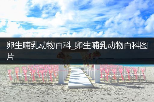 卵生哺乳动物百科_卵生哺乳动物百科图片