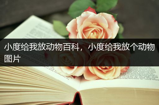 小度给我放动物百科，小度给我放个动物图片