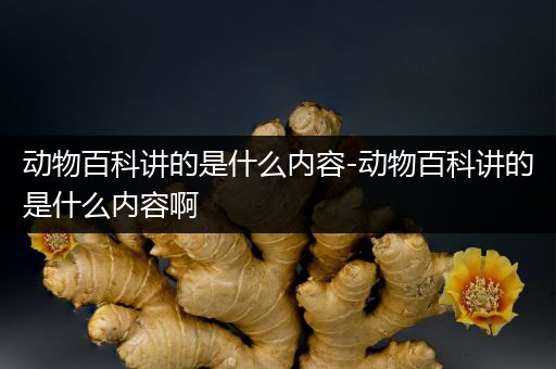动物百科讲的是什么内容-动物百科讲的是什么内容啊