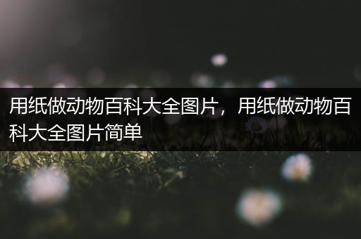 用纸做动物百科大全图片，用纸做动物百科大全图片简单