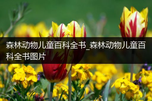 森林动物儿童百科全书_森林动物儿童百科全书图片