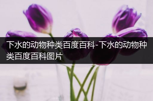 下水的动物种类百度百科-下水的动物种类百度百科图片