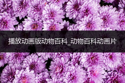 播放动画版动物百科_动物百科动画片