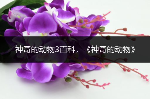 神奇的动物3百科，《神奇的动物》