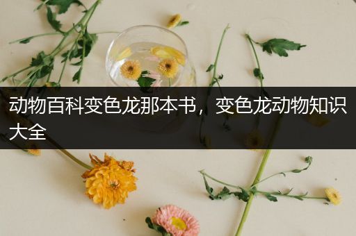 动物百科变色龙那本书，变色龙动物知识大全