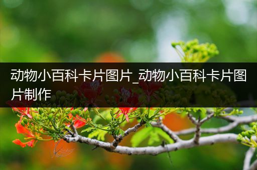 动物小百科卡片图片_动物小百科卡片图片制作