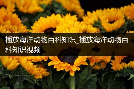 播放海洋动物百科知识_播放海洋动物百科知识视频