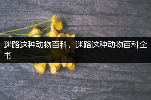 迷路这种动物百科，迷路这种动物百科全书