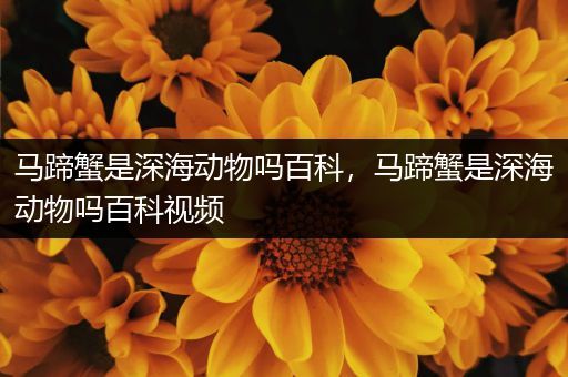 马蹄蟹是深海动物吗百科，马蹄蟹是深海动物吗百科视频