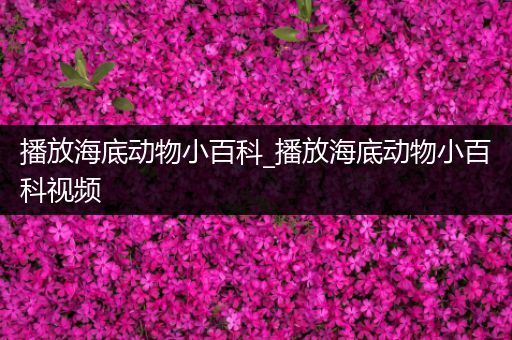 播放海底动物小百科_播放海底动物小百科视频