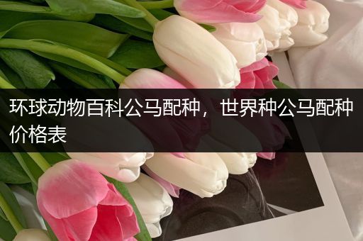 环球动物百科公马配种，世界种公马配种价格表