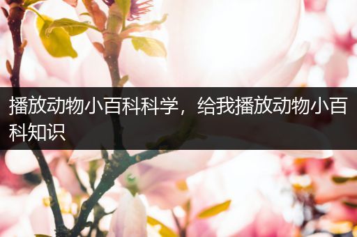 播放动物小百科科学，给我播放动物小百科知识