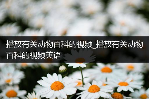 播放有关动物百科的视频_播放有关动物百科的视频英语
