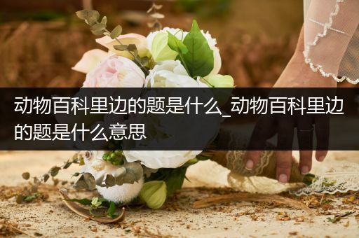 动物百科里边的题是什么_动物百科里边的题是什么意思