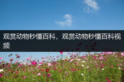 观赏动物秒懂百科，观赏动物秒懂百科视频