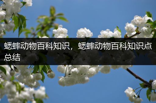 蟋蟀动物百科知识，蟋蟀动物百科知识点总结