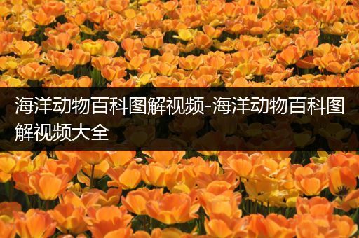 海洋动物百科图解视频-海洋动物百科图解视频大全