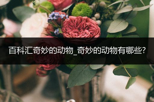 百科汇奇妙的动物_奇妙的动物有哪些?
