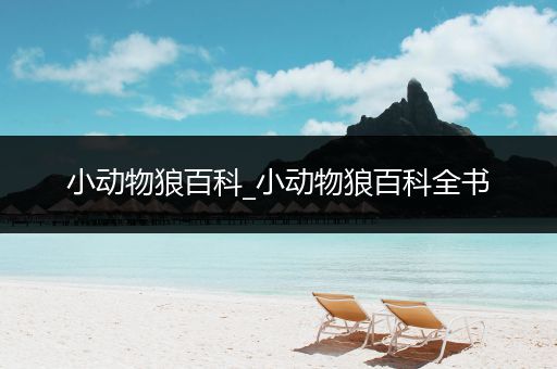 小动物狼百科_小动物狼百科全书