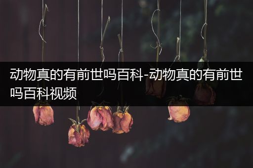 动物真的有前世吗百科-动物真的有前世吗百科视频