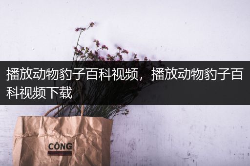 播放动物豹子百科视频，播放动物豹子百科视频下载
