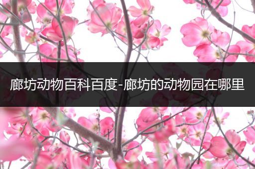 廊坊动物百科百度-廊坊的动物园在哪里