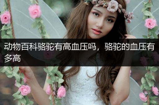 动物百科骆驼有高血压吗，骆驼的血压有多高