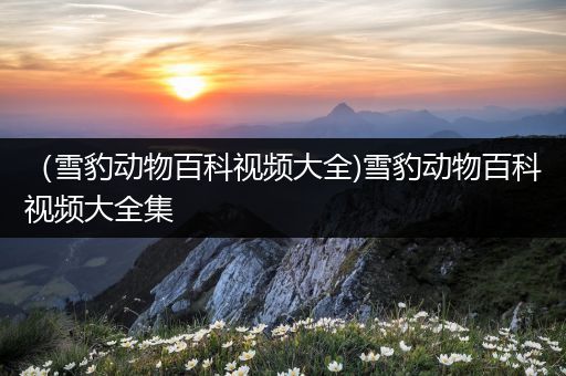 （雪豹动物百科视频大全)雪豹动物百科视频大全集