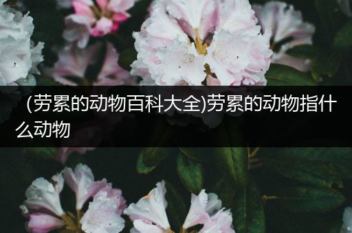 （劳累的动物百科大全)劳累的动物指什么动物