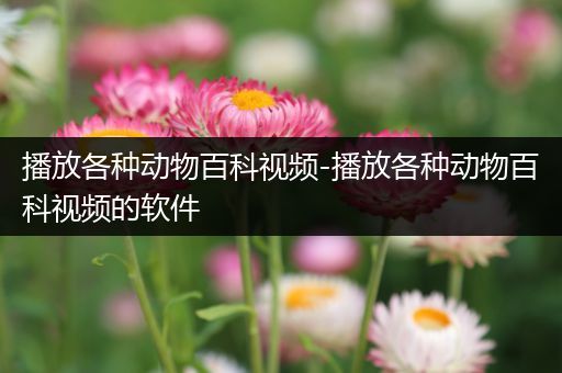播放各种动物百科视频-播放各种动物百科视频的软件