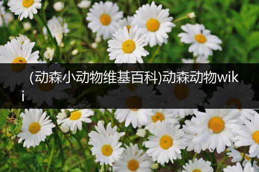 （动森小动物维基百科)动森动物wiki