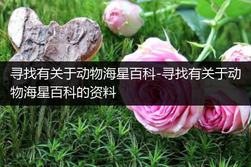 寻找有关于动物海星百科-寻找有关于动物海星百科的资料