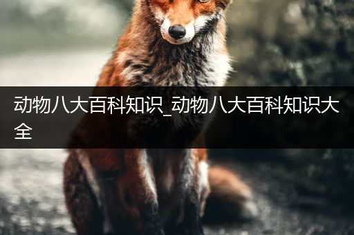 动物八大百科知识_动物八大百科知识大全
