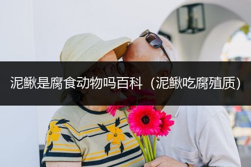 泥鳅是腐食动物吗百科（泥鳅吃腐殖质）