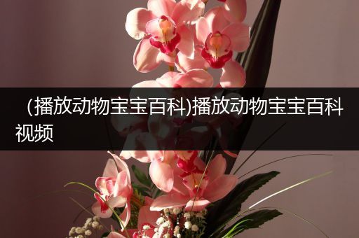（播放动物宝宝百科)播放动物宝宝百科视频