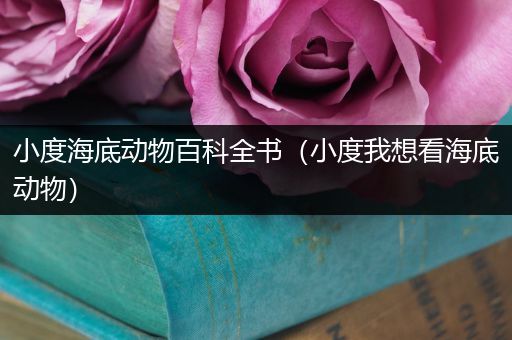 小度海底动物百科全书（小度我想看海底动物）