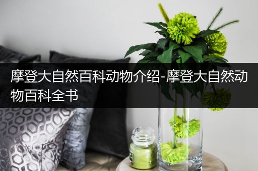 摩登大自然百科动物介绍-摩登大自然动物百科全书