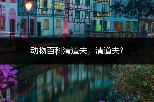 动物百科清道夫，清道夫?