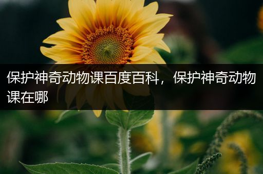 保护神奇动物课百度百科，保护神奇动物课在哪