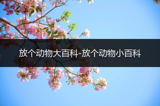 放个动物大百科-放个动物小百科