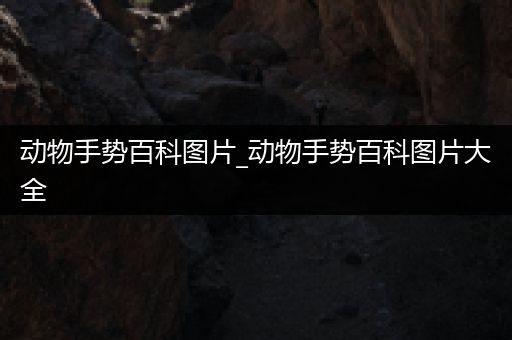动物手势百科图片_动物手势百科图片大全
