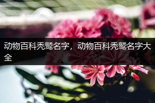 动物百科秃鹫名字，动物百科秃鹫名字大全
