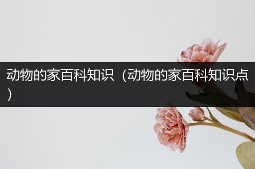 动物的家百科知识（动物的家百科知识点）